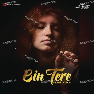 Bin Tere (Lofi Flip) Cover
