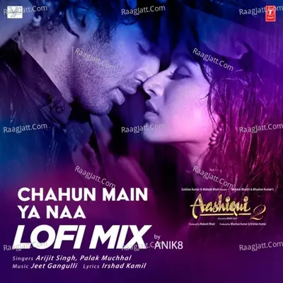Chahun Main Ya Naa Lofi Mix Cover