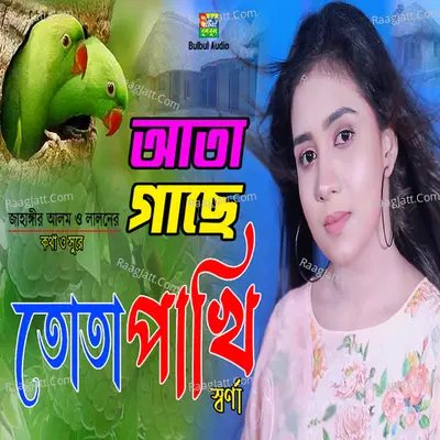 Ata Gache Tuta Pakhi Cover