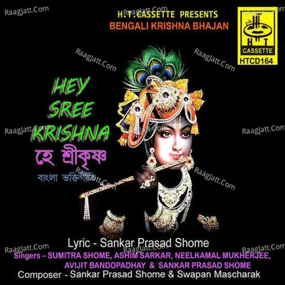 Hey Sree Krishna Cover