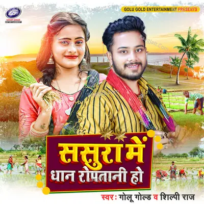 Sasura Me Dhan Ropatani Ho Cover