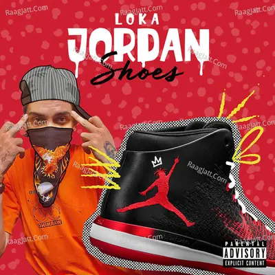 Jordan Shoes Cover