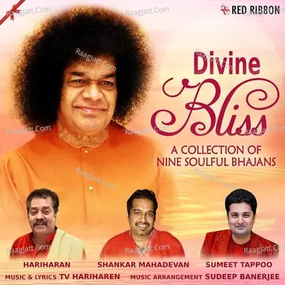 Divine Bliss Poster