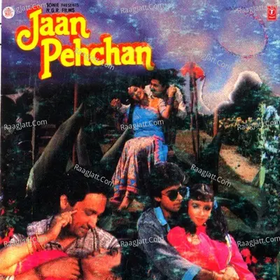 Jaan Pehchan - Anuradha Paudwal