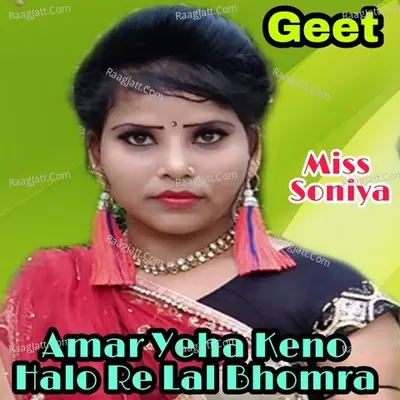 Amar Yeha Keno Halo Re Lal Bhomra