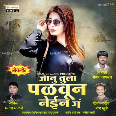Janu Tula Palvun Nein Ga Cover