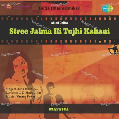 Stree Jalma Hi Tujhi Kahani Cover