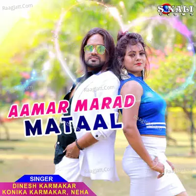 Aamar Marad Mataal Poster