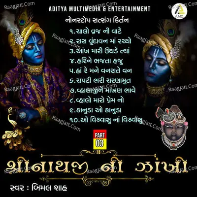 Shrinathji Ni Zankhi-Nonstop Satsang Kirtan Part 03
