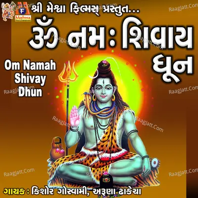 Om Namah Shivay Dhun Cover
