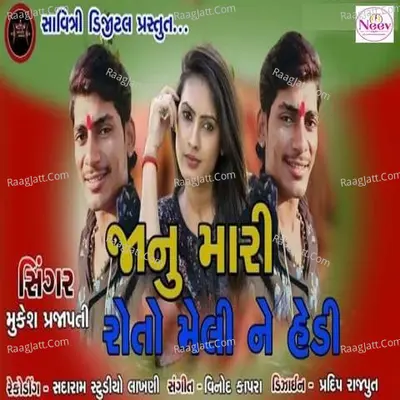 Janu Mari Roto Meli Ne Hedi Cover