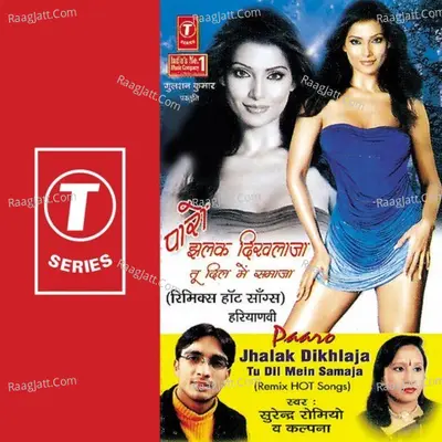 Paro Jhalak Dikhla Ja Tu Dil Mein Samaja - Surender Romiyo