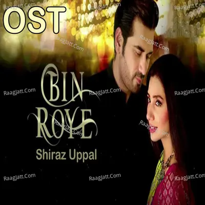 Bin Roye (From "Bin Roye") Cover