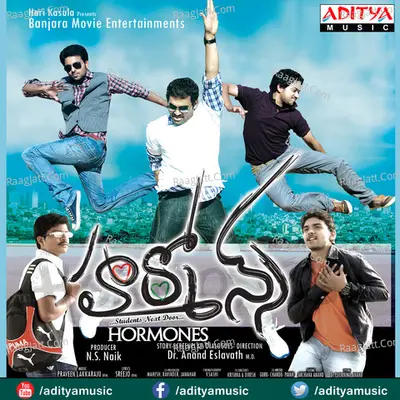 Hormones Poster