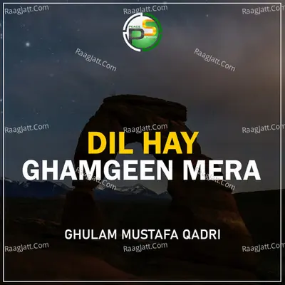 Dil Hay Ghamgeen Mera Cover