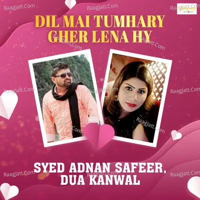 Syed Adnan Safeer Image
