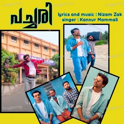 Pachari Cover