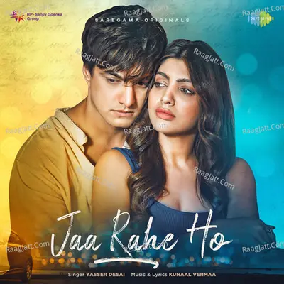 Jaa Rahe Ho Cover