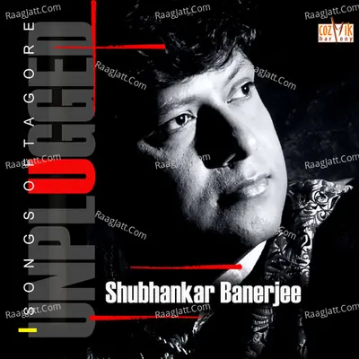 Unplugged Poster