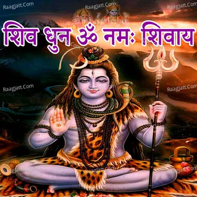 Shiv Dhun OM Namah Shivay Cover