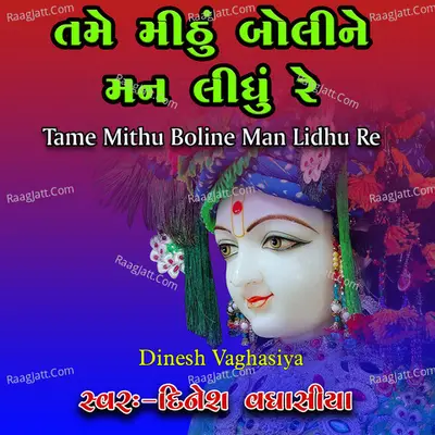 Tame Mithu Boline Man Lidhu Re Cover