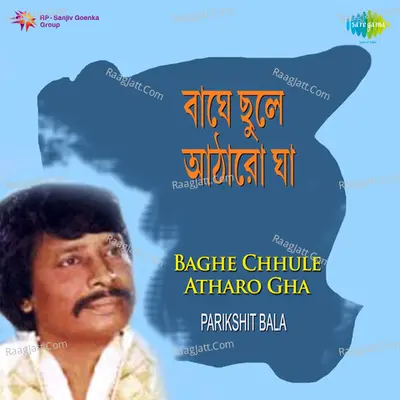 Parikshit Bala Baghe Chhnule Atharo Gha Poster