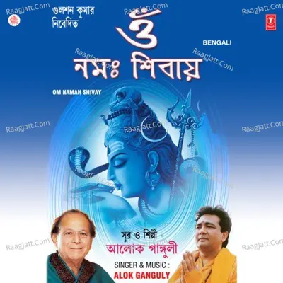 Om Namah Shivay - Alok Ganguly