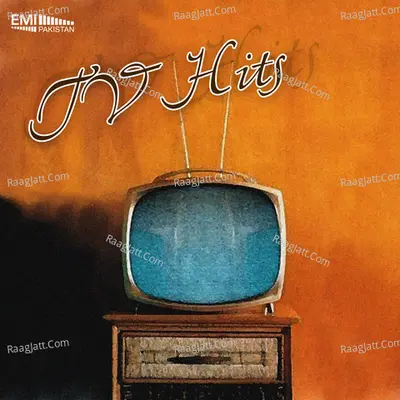 Tv Hits Poster