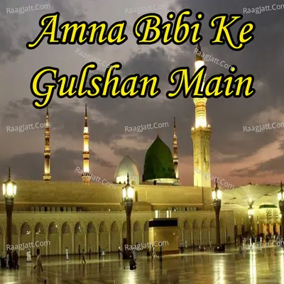 Amna Bibi Ke Gulshan Main Poster