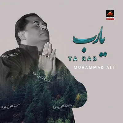 Ya Rab - Single Cover