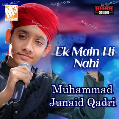 Ek Main Hi Nahi - Single Cover