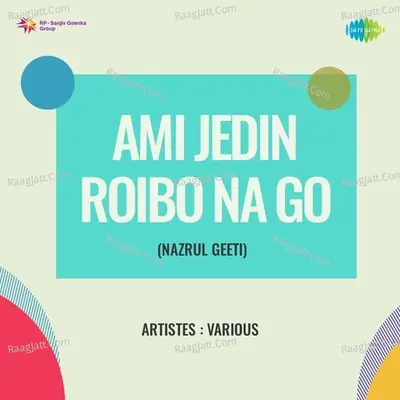 Ami Jedin Roibo Na Go Poster