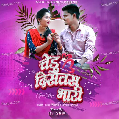 Chedu Distas Bhari Official Mix Cover