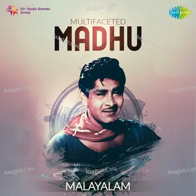 Multifaceted Madhu Poster