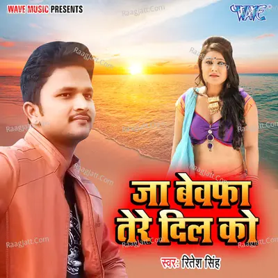 Ja Bewafa Tere Dil Ko Cover