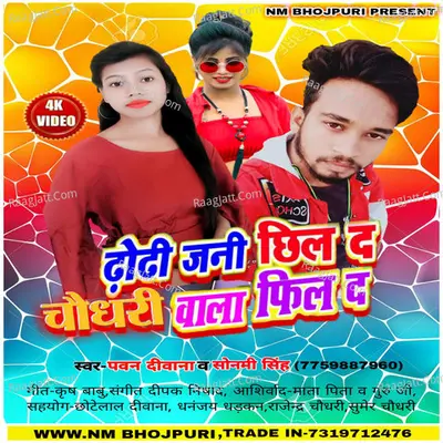 Dhodi Jani Chhil Da Chaudhary Wala Fil Da Cover