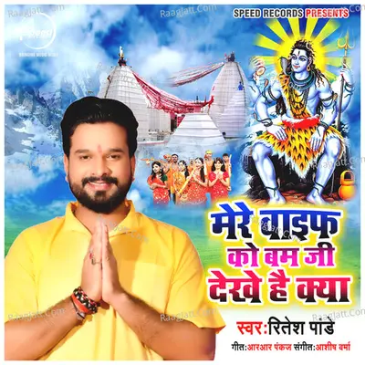 Mere Wife Ko Bam Ji Dekhe Hai Kya Cover