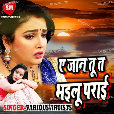 A Jaan Tu Ta Bhailu Parai Poster