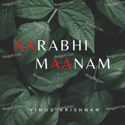 Vinod Krishnan Image