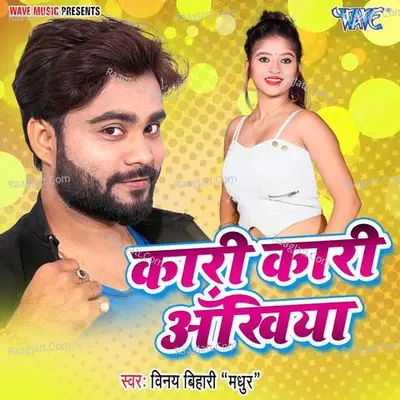 Vinay Bihari Madhur Image