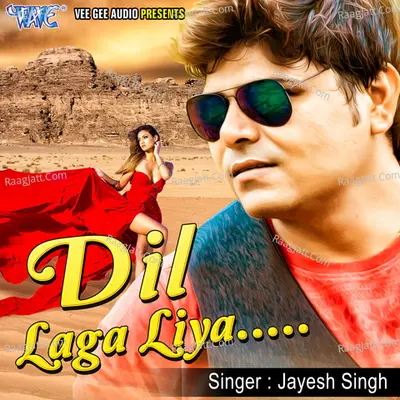 Dil Laga Liya Poster