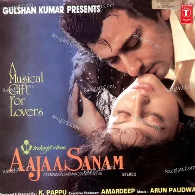 Aaja Sanam - Anuradha Paudwal