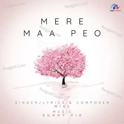 Mere Maa Peo Cover