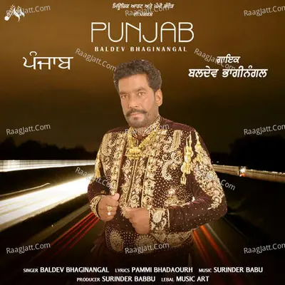 Punjab Cover