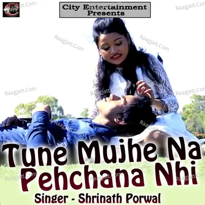 Shrinath Porwal