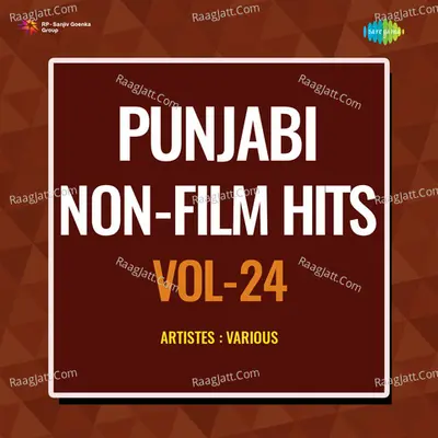 Punjabi Non - Film Hits Vol - 24 Cover