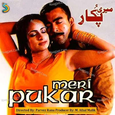 Meri Pukar Poster