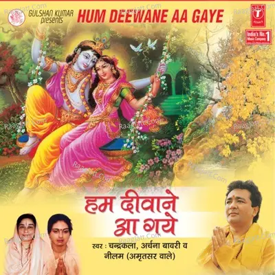 Hum Diwane Aa Gaye Poster