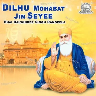 Dilhu Mohabat Jin Seyee Poster