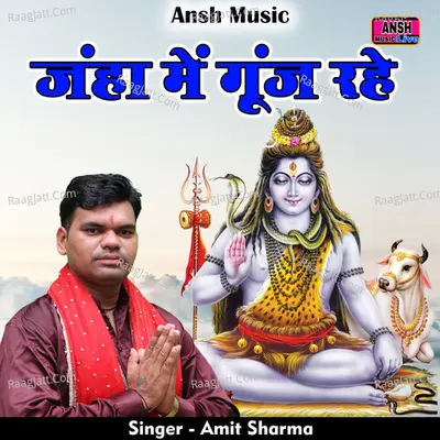 Janha Mein goonj Rahe Cover